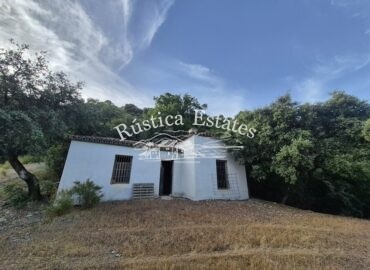 Ref. 031 Casa de campo 5