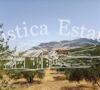 Ref. 033 Terreno