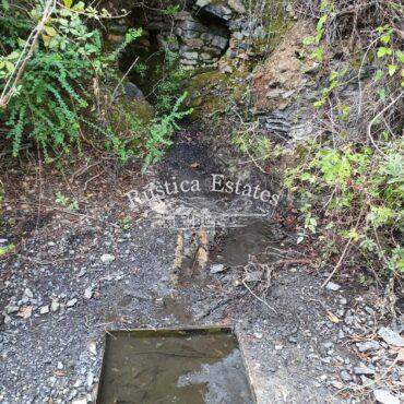 Ref. 089 Nacimiento