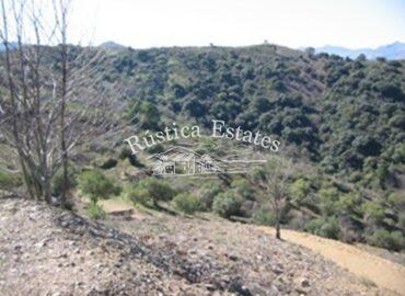 Ref. 081 Terreno