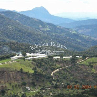 Ref. 123 Vista aerea naves