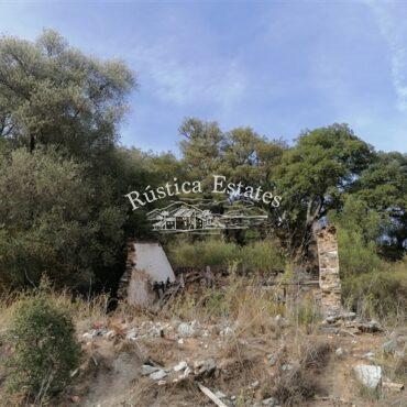 Ref. 146 Ruina