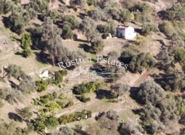 Cortijo para restaurar en Genalguacil