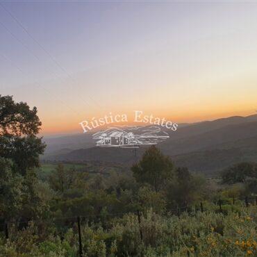 Ref. 159 Vistas