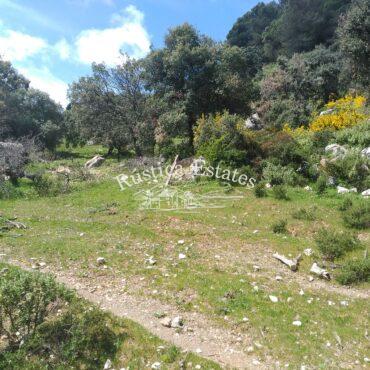 Ref. 164 Zonas llanas a pie de la montana
