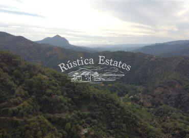 Ref. 167 Vistas