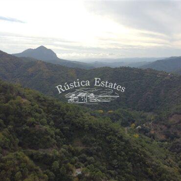 Ref. 167 Vistas
