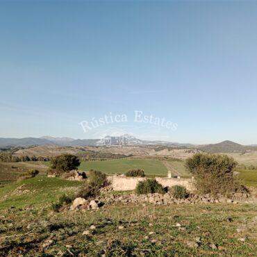 Ref. 205 Finca ideal permacultura 4