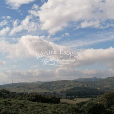 Ref. 240 Alrededores