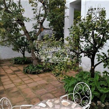 Ref. 248 Patio zona baja