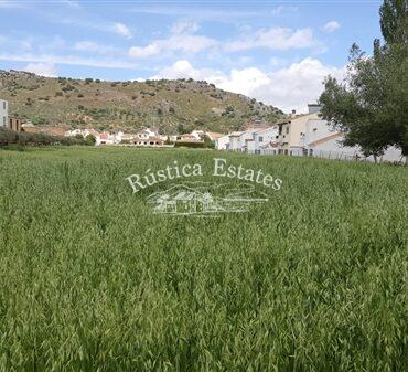 Ref. 267 Solar urbano