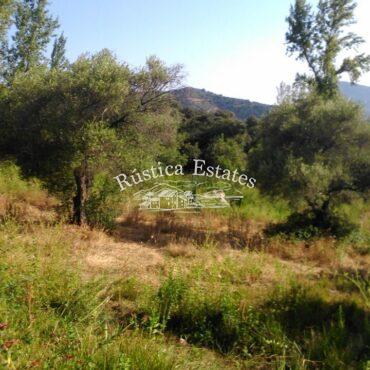 Ref. 284 Situacion