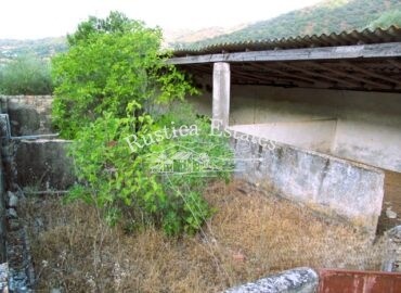Ref. 286 parcela y nave en Benaojan 5