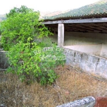 Ref. 286 parcela y nave en Benaojan 5