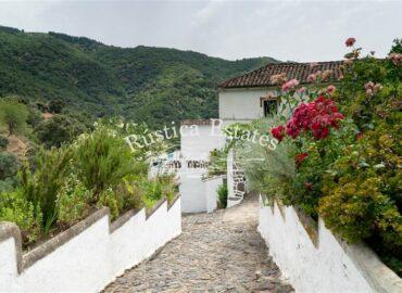 Ref. 136 Entrada
