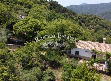 Ref. 215 Aerea casa y alberca