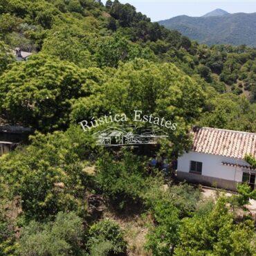 Ref. 215 Aerea casa y alberca
