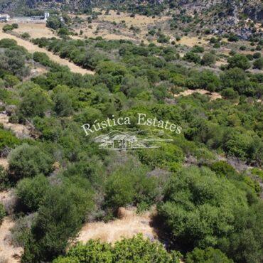 Ref. 217 Detalle terreno