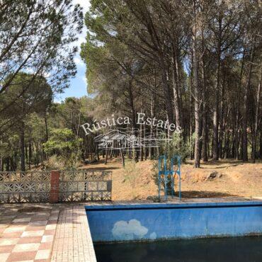 Ref. 341 Piscina