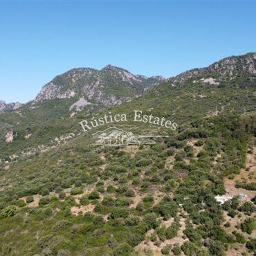 Ref. 356 Terreno