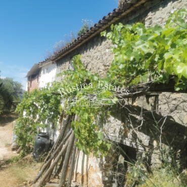 Ref. 244 Casa
