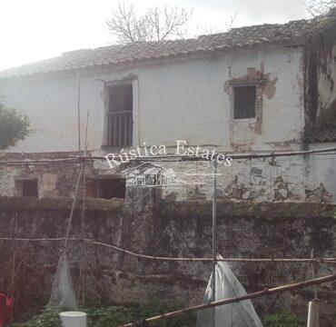 Ref. 376 Molino