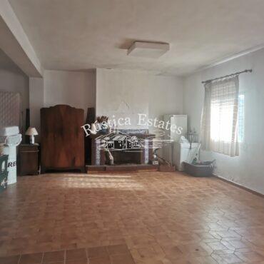 Ref. 389 Salon diafano