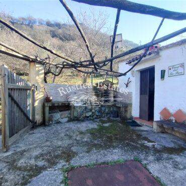 Ref. 203 Barbacoa y entrada