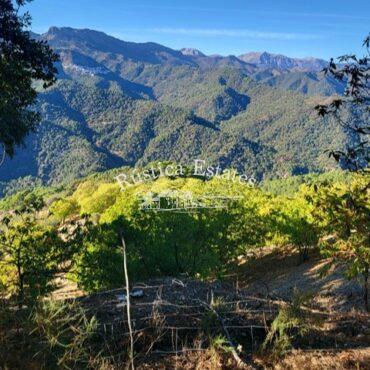 Ref. 185 Vistas