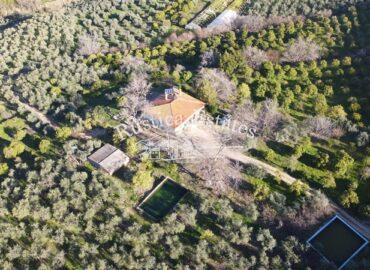 Ref. 379 Casa de campo en Coripe 7