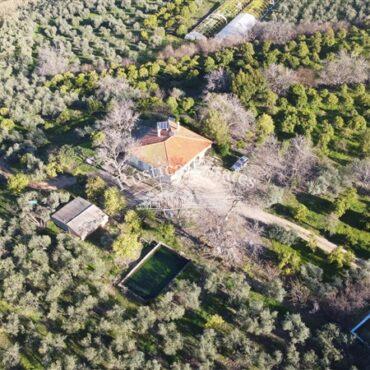 Ref. 379 Casa de campo en Coripe 7