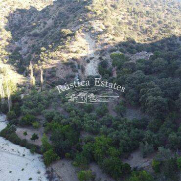 Ref. 222 Cortijo Alpandeire 5