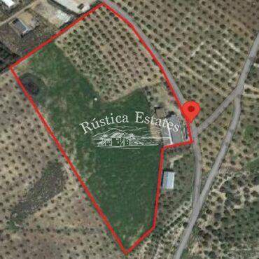 Ref. 251 Naves explotacion 8