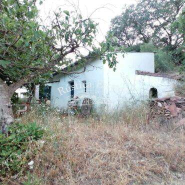 Ref. 254 Huerta y construcciones lindando con el rio 3