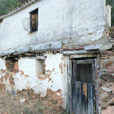 Ref. 439 Finca con casa para reformar 2