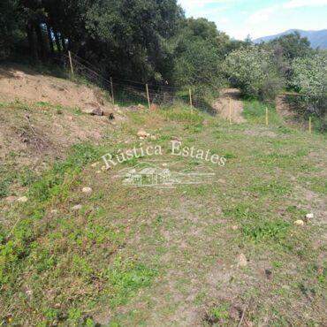 Ref. 449 Parcela en Gaucin 6
