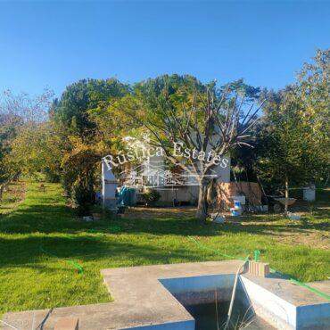 Ref. 332 Casa de aperos y madera en Ronda 4 1