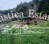 Ref. 437 Finca arbolada en Jubrique 6