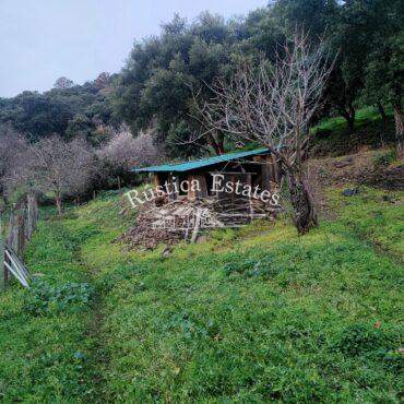 Ref. 437 Finca arbolada en Jubrique 6