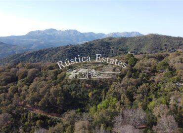 Ref. 371 Finca buen acceso Gaucin 3