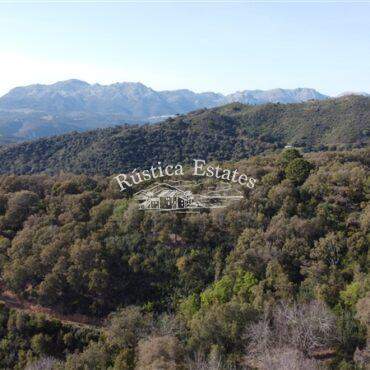 Ref. 371 Finca buen acceso Gaucin 3