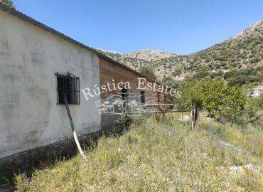 Ref. 038 Finca con nave en Alpandeire 7