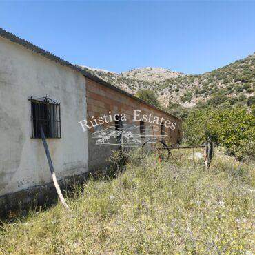 Ref. 038 Finca con nave en Alpandeire 7