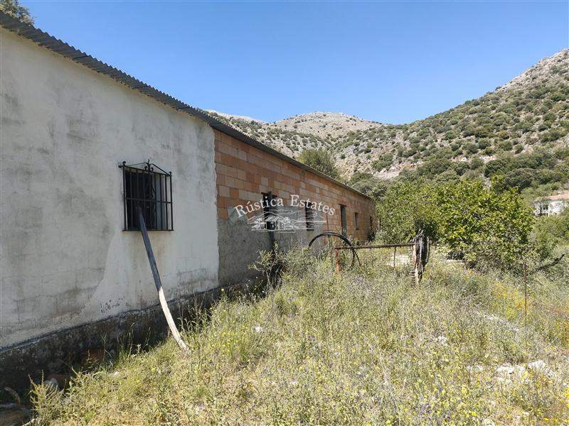 Ref. 038 Finca con nave en Alpandeire 7