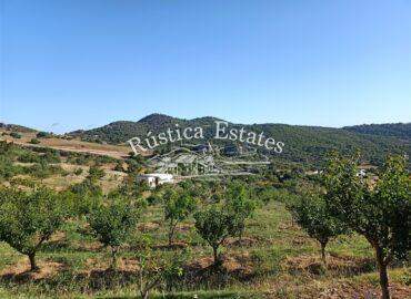 Ref. 050 Parcela en Casares 1