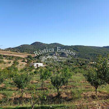 Ref. 050 Parcela en Casares 1