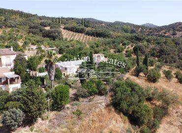 Ref. 098 Finca con olivar y construcciones para reformar 2