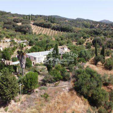 Ref. 098 Finca con olivar y construcciones para reformar 2