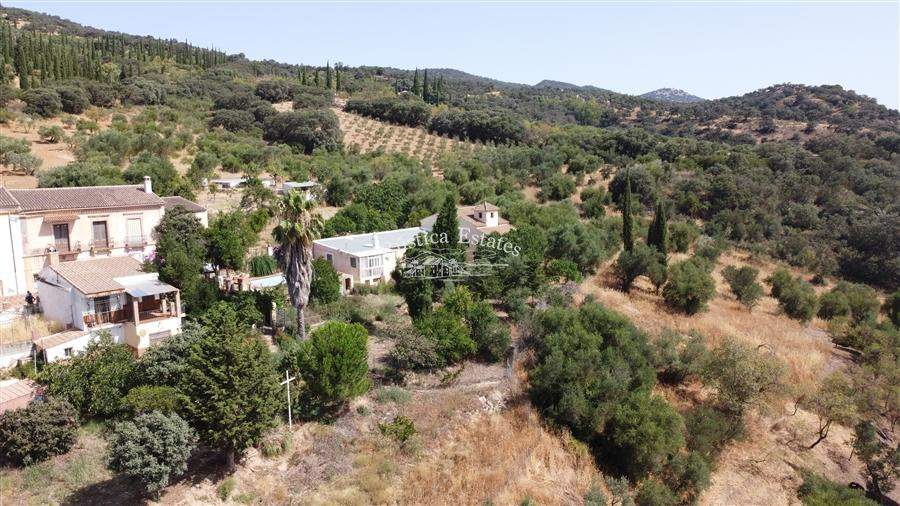 Ref. 098 Finca con olivar y construcciones para reformar 2