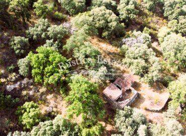 Ref. 109 Finca 50 Ha con ruina 4